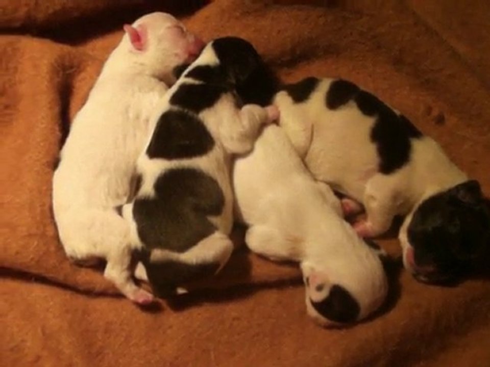 La sieste