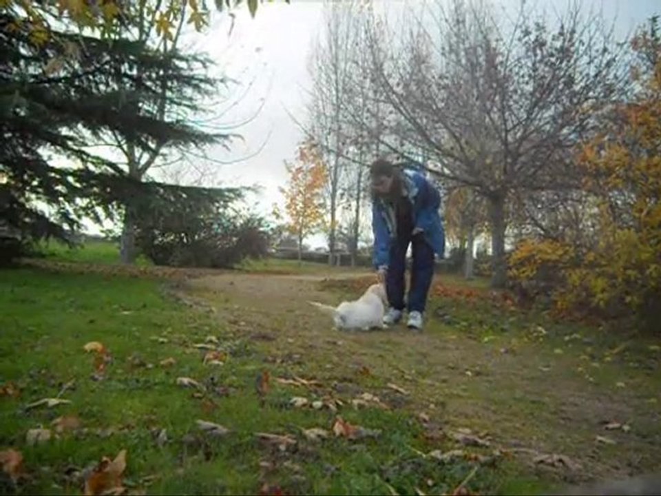 Stanley 2 mois et demi