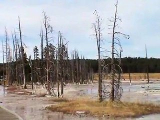 Le Parc National de YELLOWSTONE