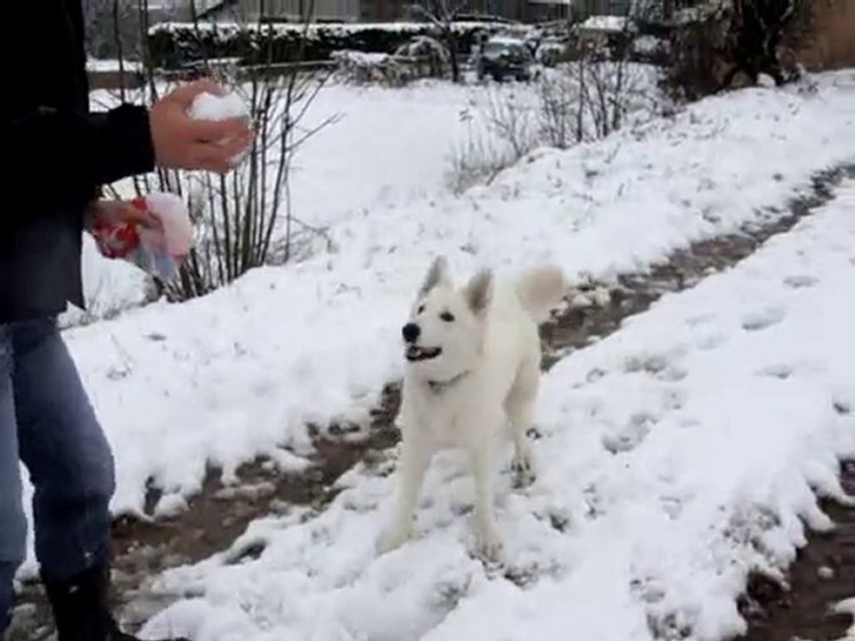 Fiorra découvre la neige 2e partie
