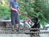 Adjustable Length Dog Leash - Length Adjustable Dog Leash