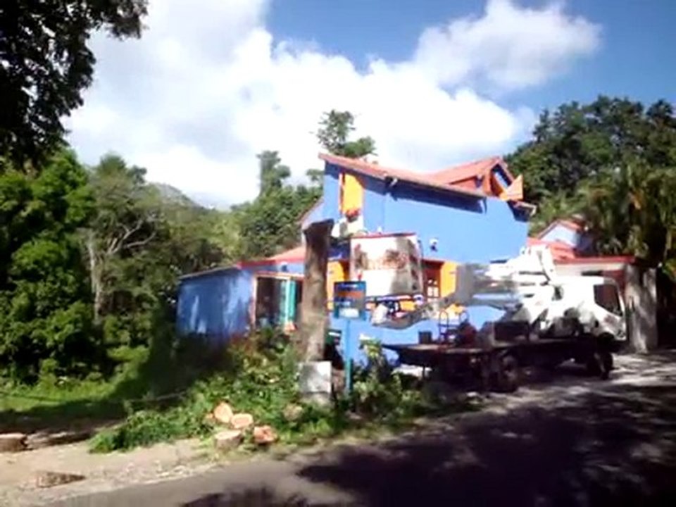 Elagage guadeloupe