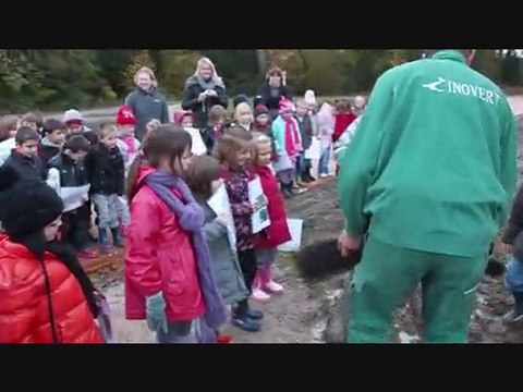 Plantations d'arbres dans le futur parc municipal d'Estaires