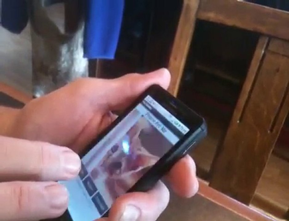 Pet Therapy Droid Apps at PetTherapyApps.com