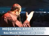 mustafa çayan hoşçakal ahmet kaya