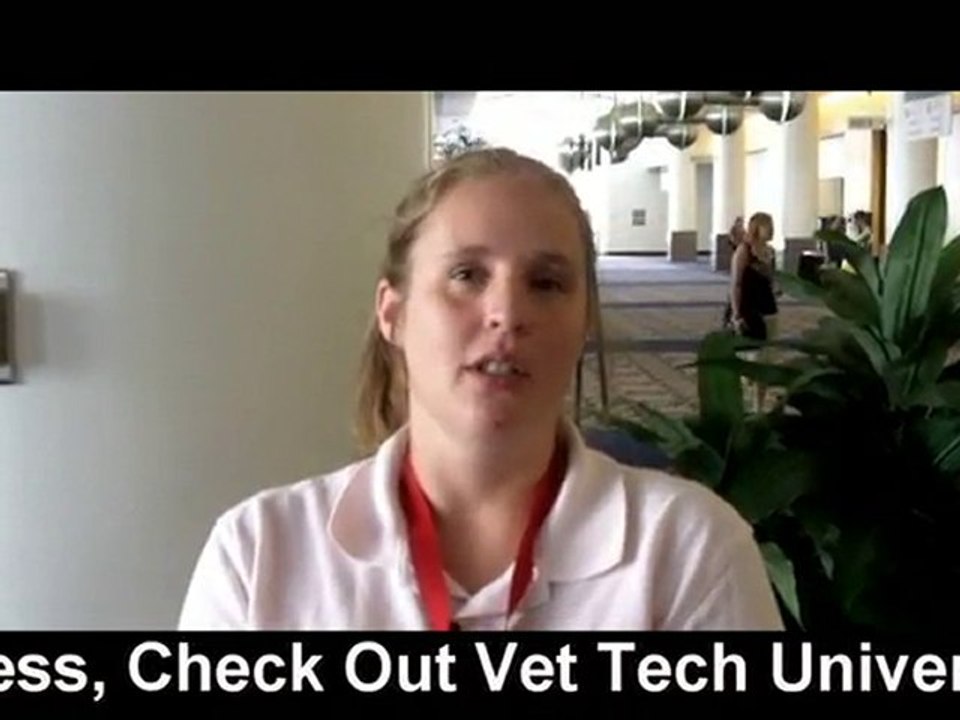 Online Vet Tech Schools | Online Veterinary Technician Prog
