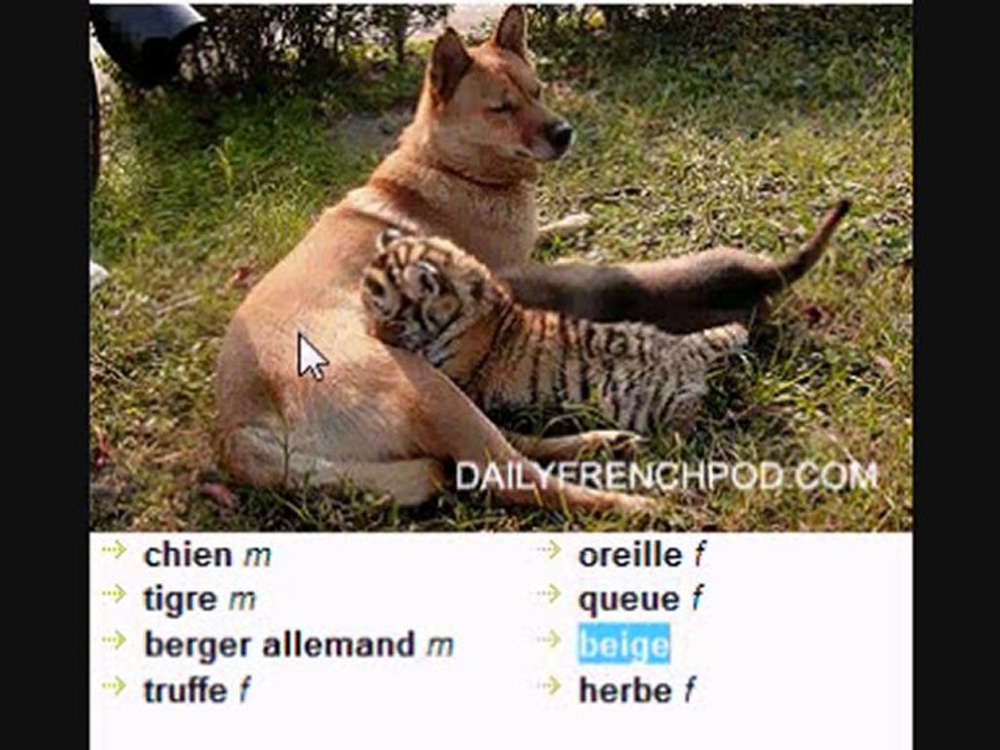 ⁣learn french