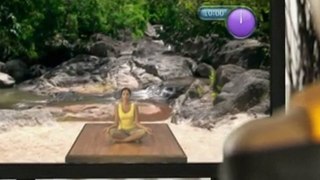 NewU Mind Body: Yoga & Pilates Workout (Wii)