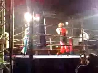 Championnat de France Elite de Savate