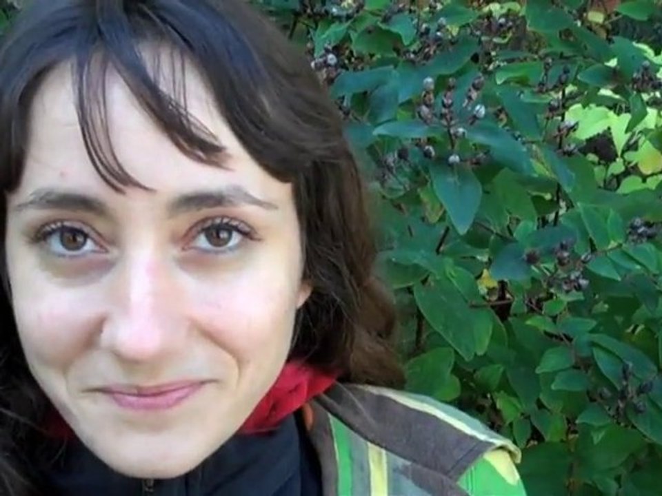 Pryska Ducoeurjoly, ou la guérison par l'information