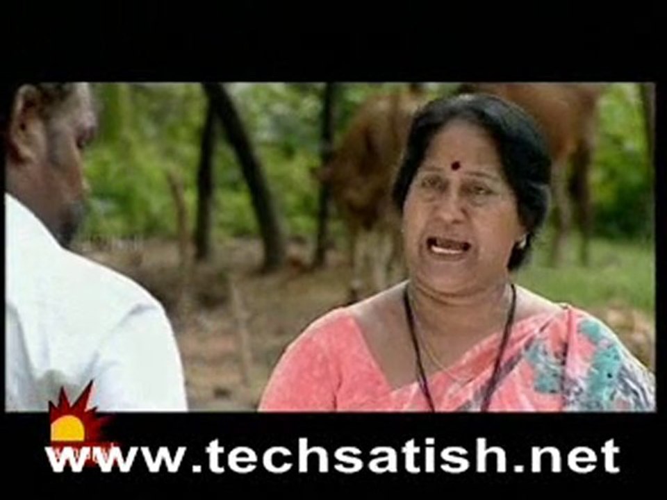 Nila Nov 17