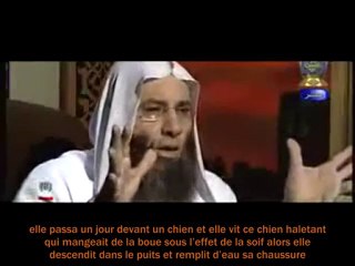 Une fornicatrice est rentrer au Paradis graçe à un Chien !!!