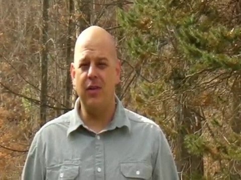 Online MLM Recruiting Training