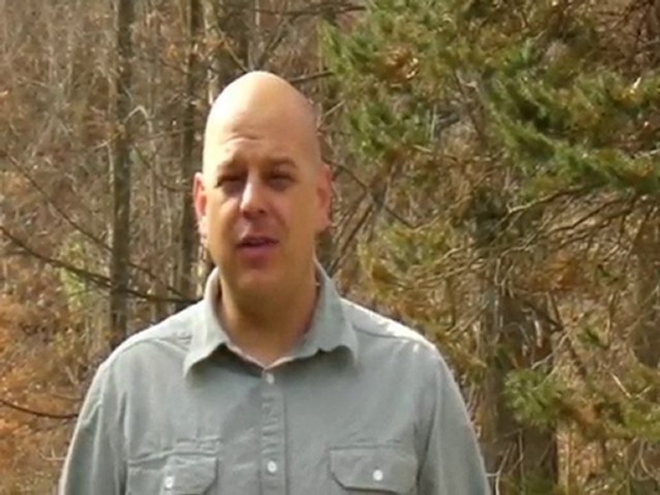 Online MLM Recruiting Training