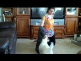 Useful Dog Tricks performed