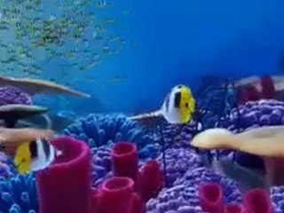 Creation Sequence from Superbook: In the Beginning - CBN.com