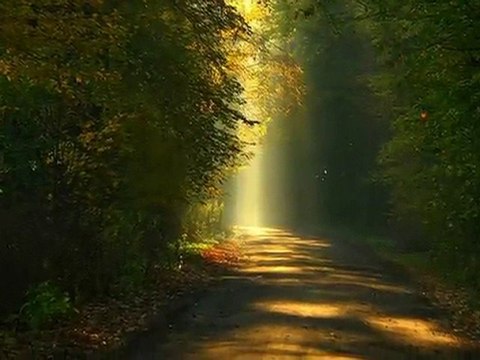 ANSAMBEL TONETA RUSA dobro jutro DOBER DAN