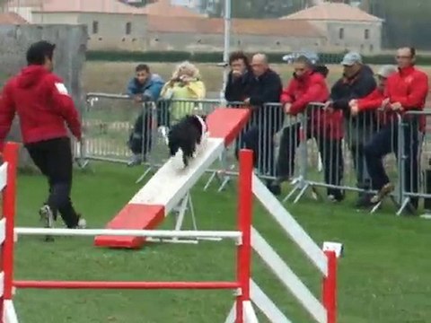 Cayenne 3ème degrè Mauguio 2010