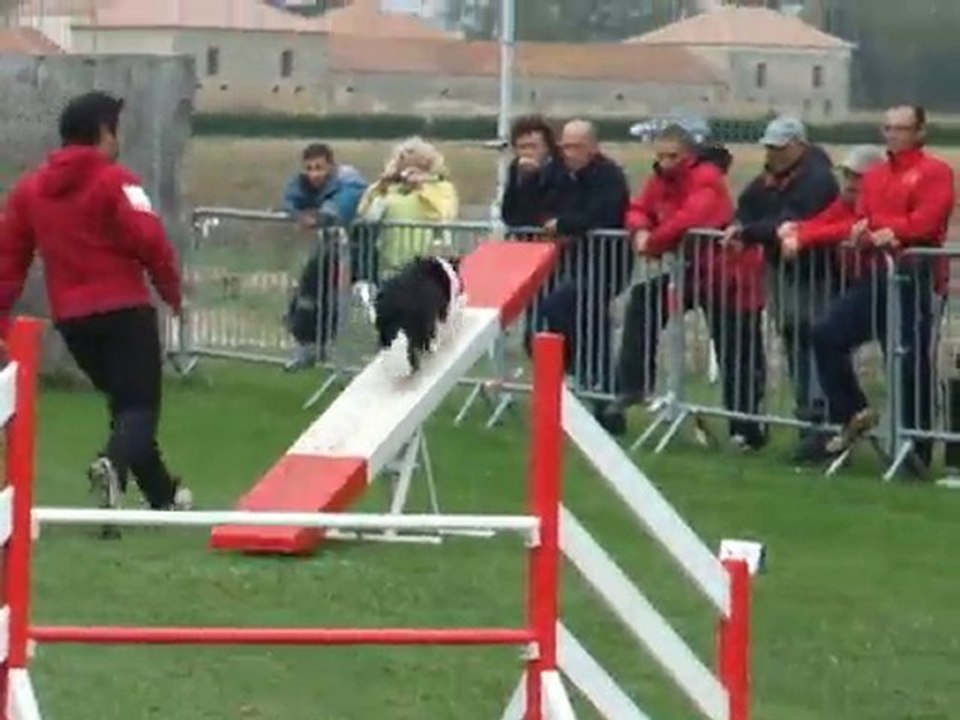 Cayenne 3ème degrè Mauguio 2010