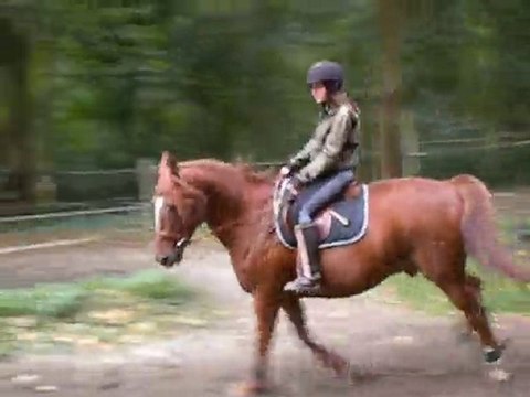 Olaf travail au galop