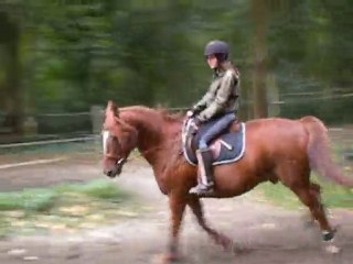 Olaf travail au galop