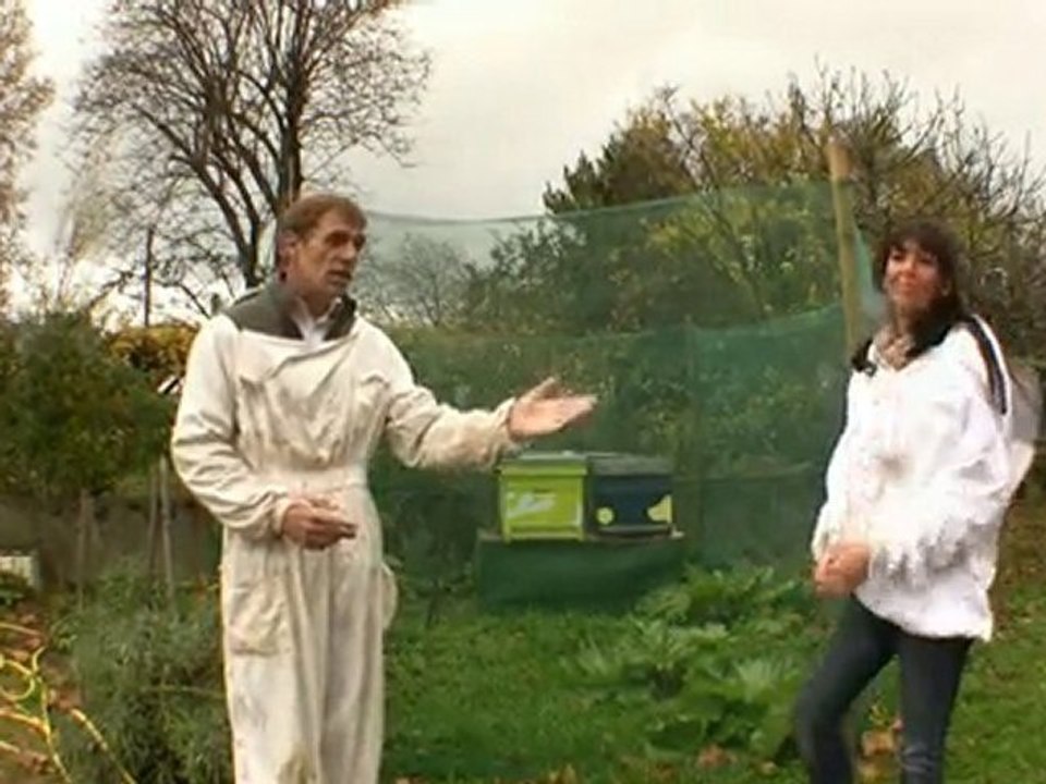Apiculture associative urbaine