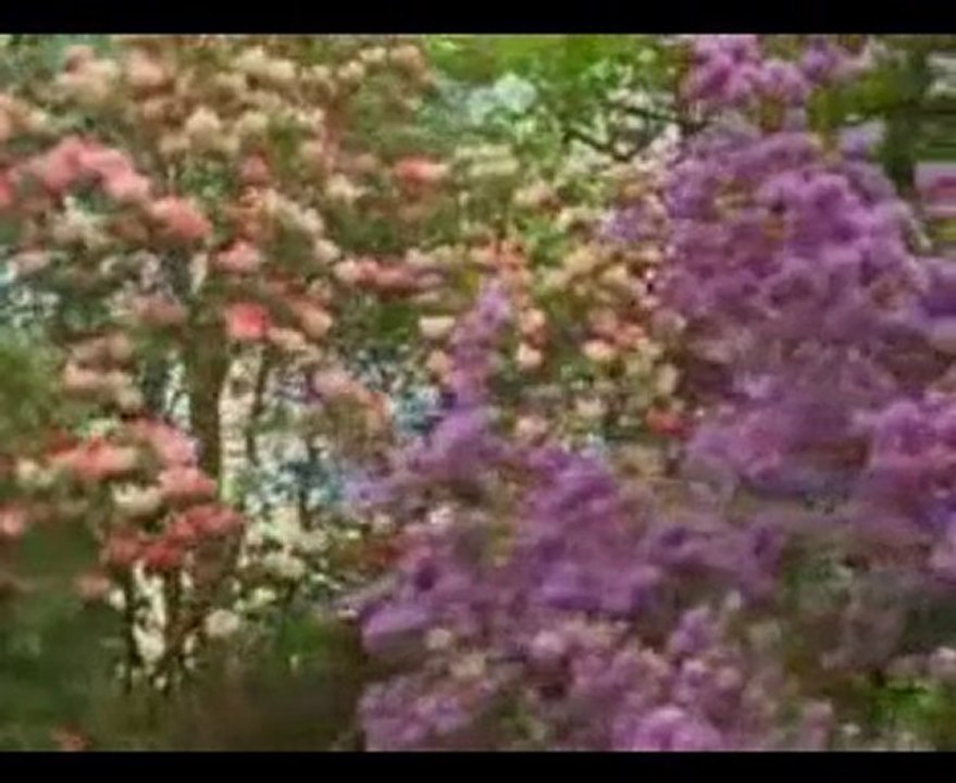 ilahi * Bize Gülen Var *