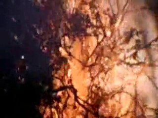 Monsters We Met 1Of 3 - The End Of Eden (4/5)