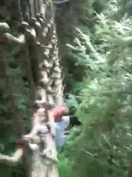 accrobrance3