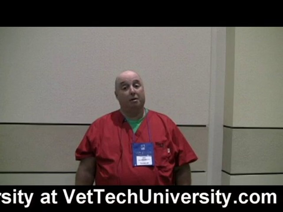 Online Vet Tech Schools | Online Veterinary Technician Prog