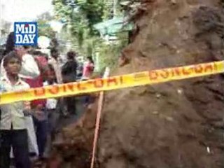 5 injured as tree falls on BMTC bus