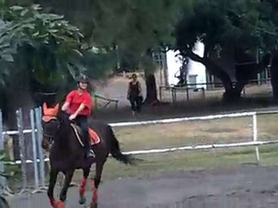 17.11.10 - cours obstacle - SavannahSham1