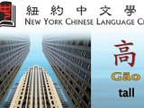 Chinese lesson : vocabularies - adjetives