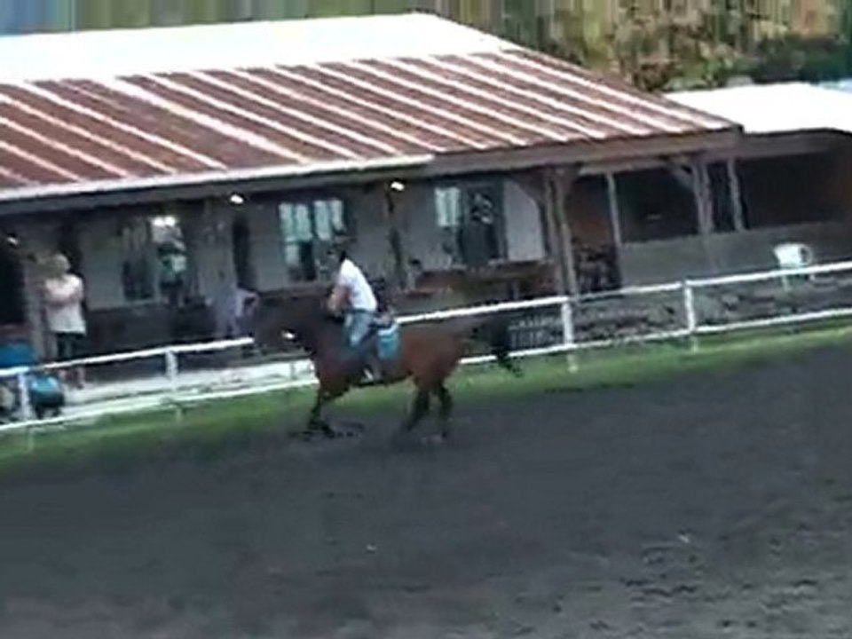 17.11.10 - cours obstacle - MargauxGavroche1