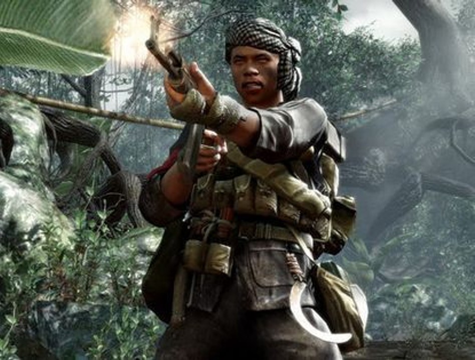 Call of Duty: Black Ops Sticks and Stones