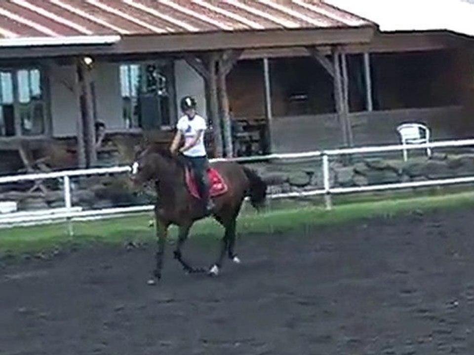 17.11.10 - cours obstacle - LouiseQaty1