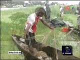La pêche sur le fleuve Congo à Brazzaville