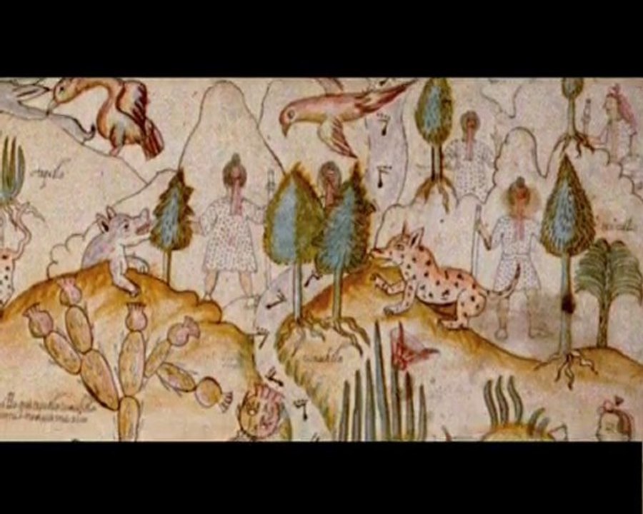 DOCUMENTAL SILUETA CHIA