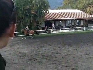 17.11.10 - cours obstacle - MorganeKa1