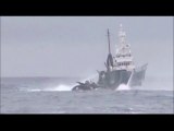 Japanese whaler cleared of ramming protest boat