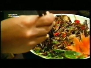 Perros y escorpiones: ¿Comida repulsiva?