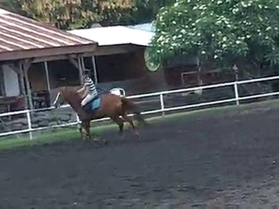 17.11.10 - cours obstacle - LéaHoppy1