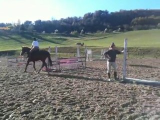 l'exo novembre 2010 011