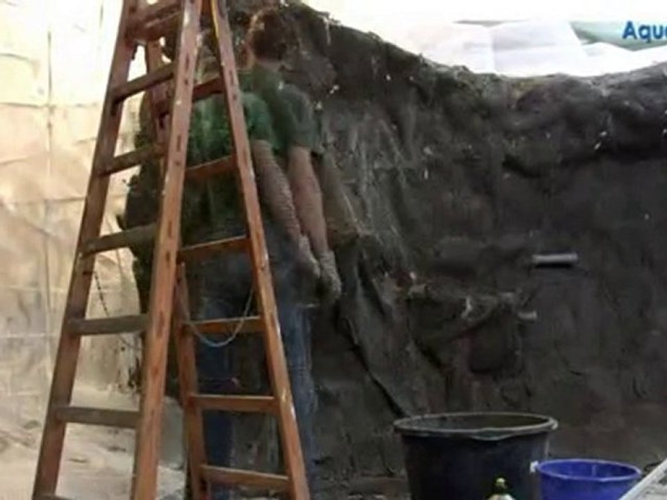 Thuringia'daki Amazon/oturma odasında 105.000 lt akvaryum