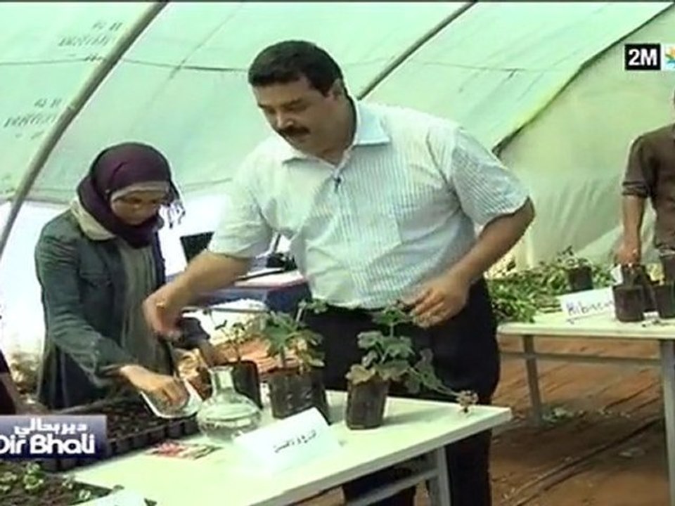 دير بحالي : الخميس 18 نونبر