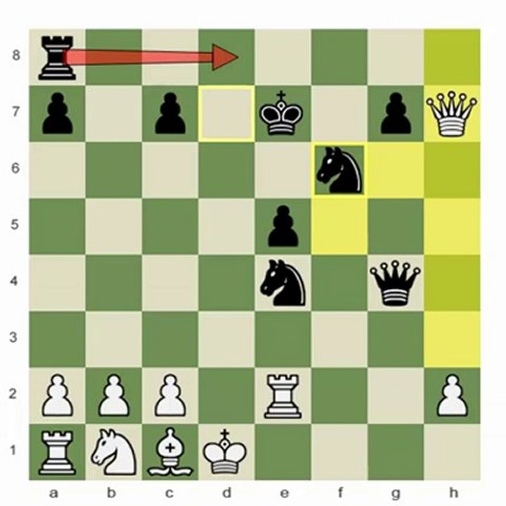 Amazing Games for Beginners: Morphy's Genius 2