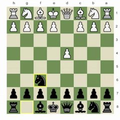 Developing Initiative In Early Stage of the Game