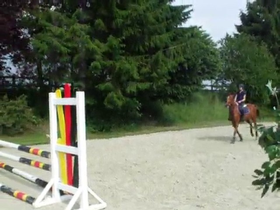 Vodka Citron des Prés d'Eve