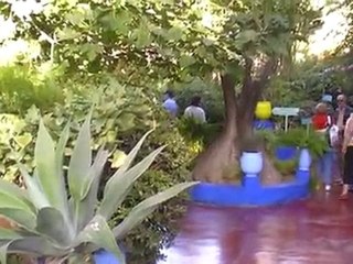 LES JARDINS DE MAJORELLE.
