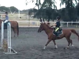 17.11.10 - cours obstacle - AngélineHérold1